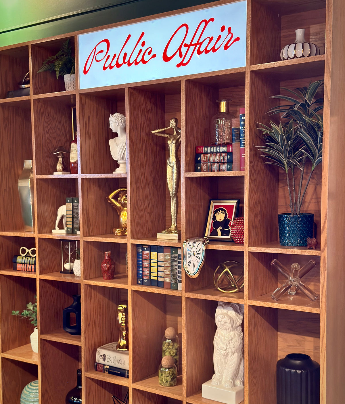 The Public Affair Experience